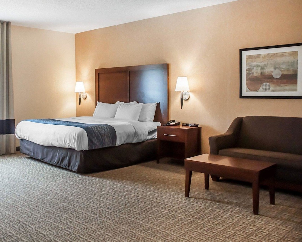 Comfort Inn & Suites Hamburg - Buffalo South 8/29
