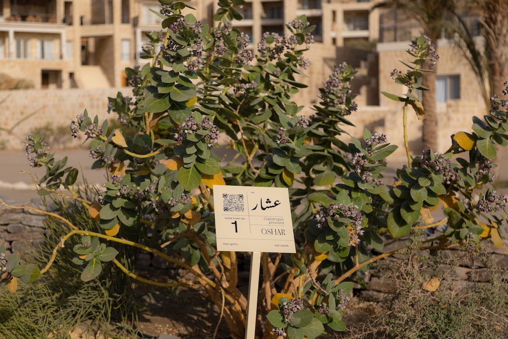 Wadi Sabarah Lodge 42/50