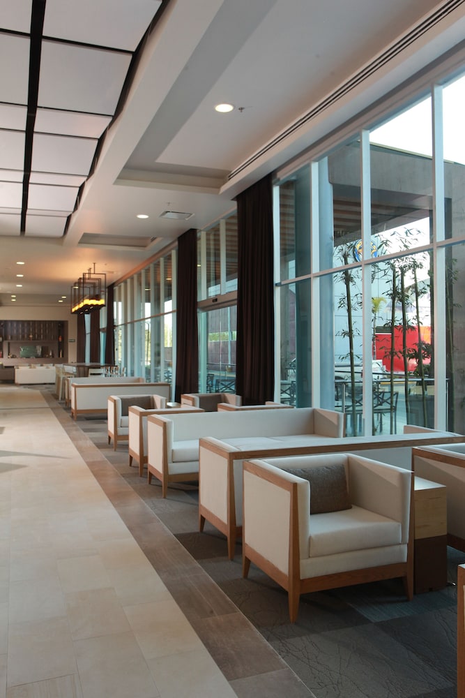 Hampton Inn Suites By Hilton Aguascalientes Airport 45/58