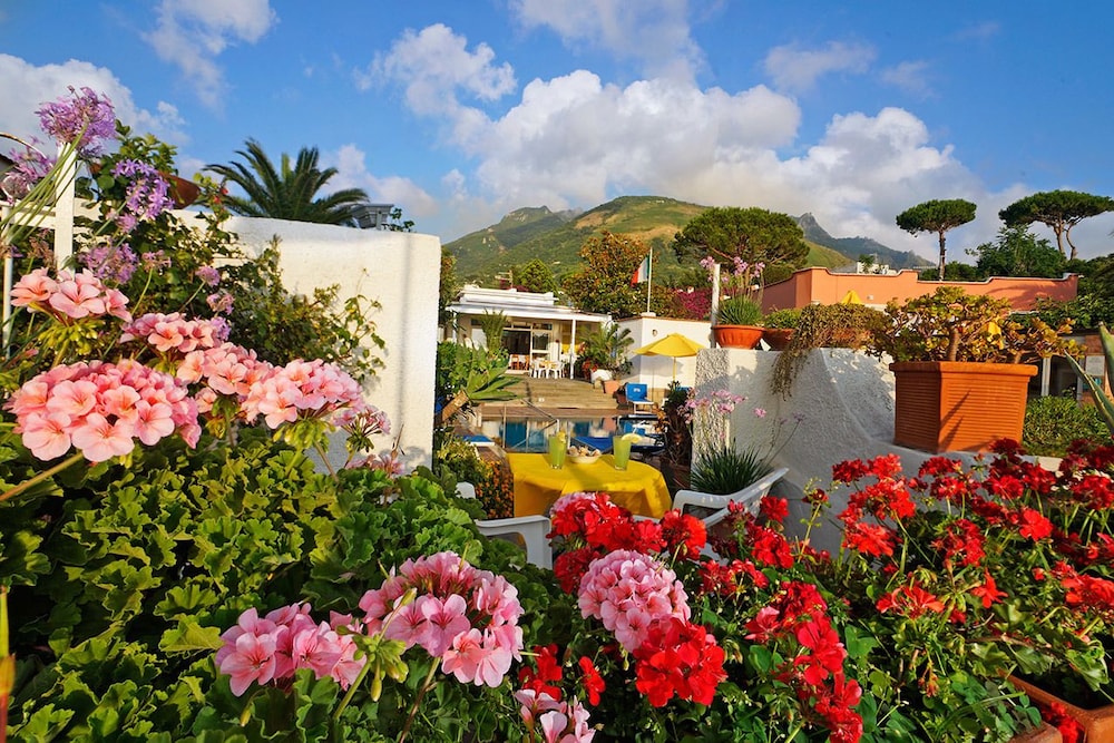 Hotel Villa Mena 50/50