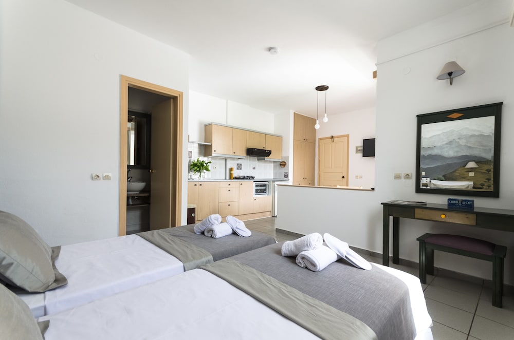 Studio, Twin Beds, Mountain View