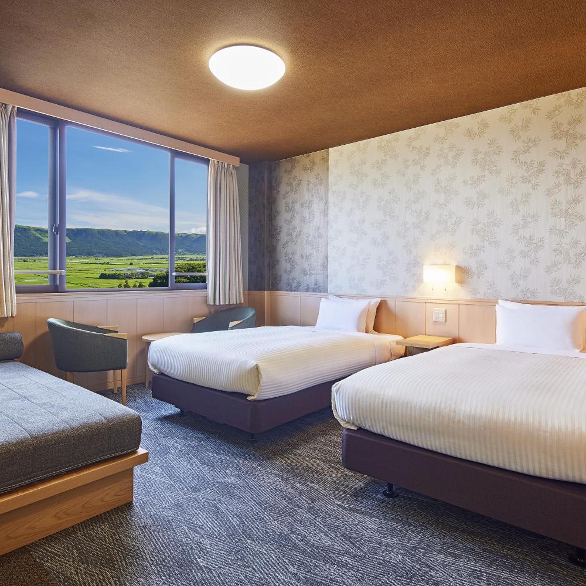 Deluxe, Twin Beds, with View, Bathtub, North Wing