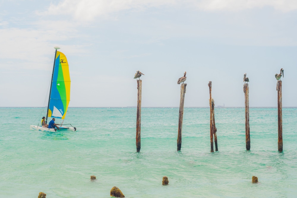 Tamarijn Aruba All Inclusive Resort 34/68