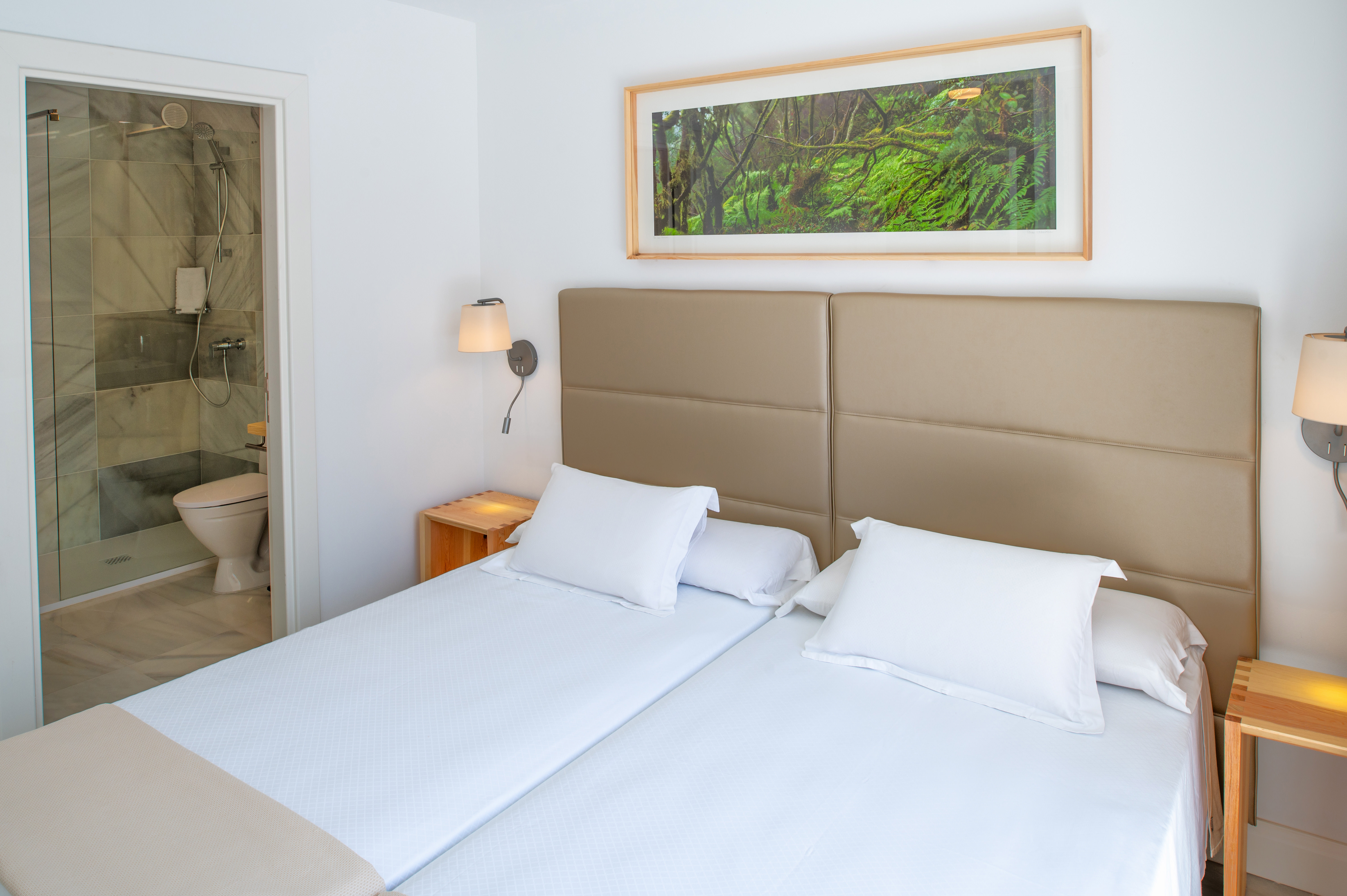 2 Bedrooms, Superior, Apartment