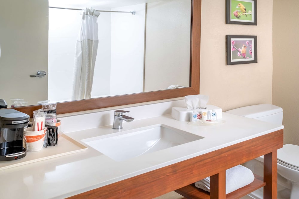 Comfort Inn & Suites Grundy, VA 18/22