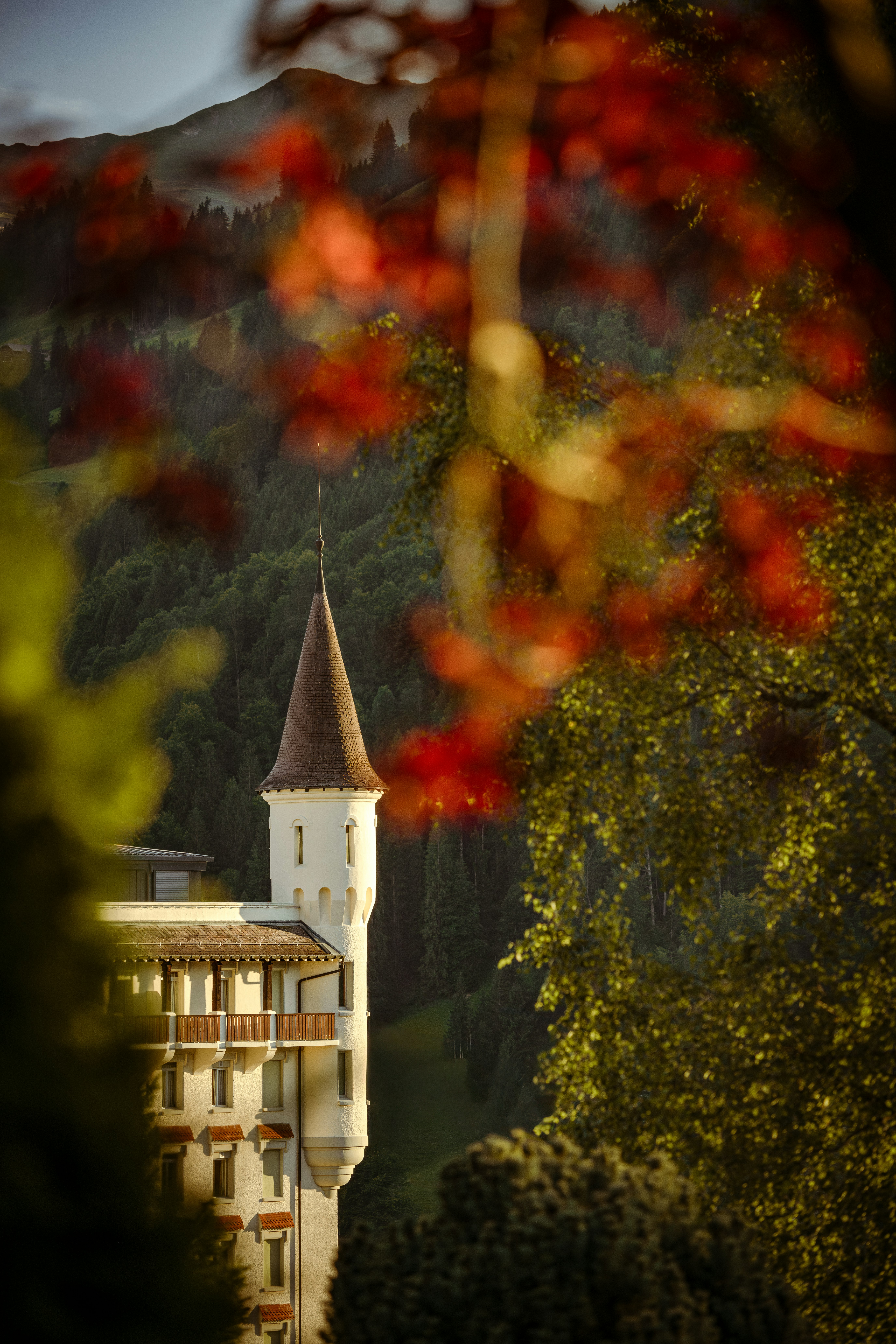 Gstaad Palace 49/50