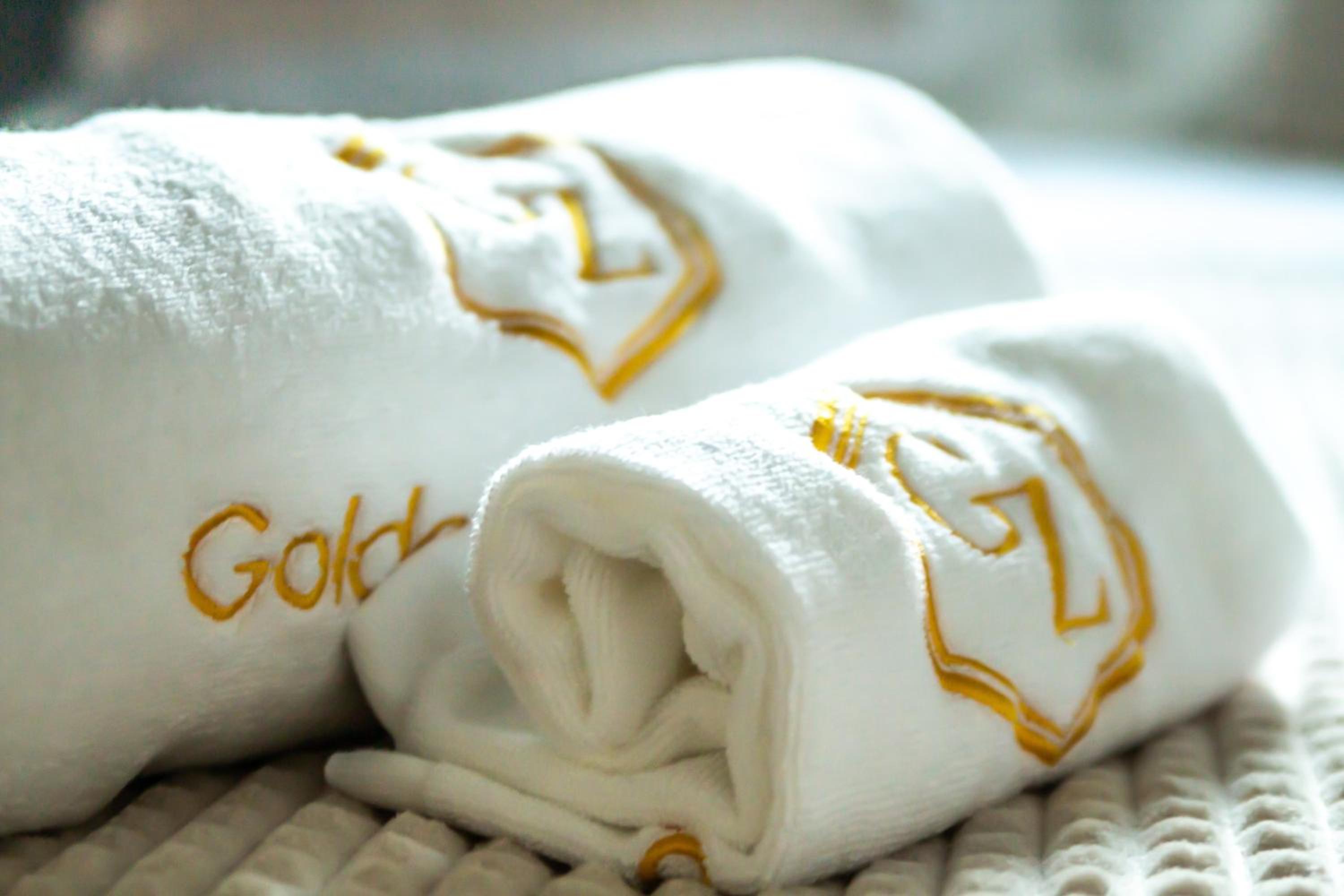 Golden Zaan Hotel Amsterdam Zaandam 11/17