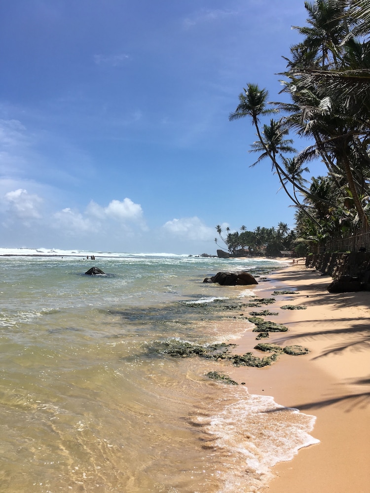 Coconut Treehouse 14/24