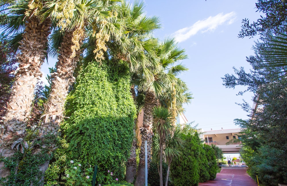 Alkyon Hotel Resort and Spa 70/77