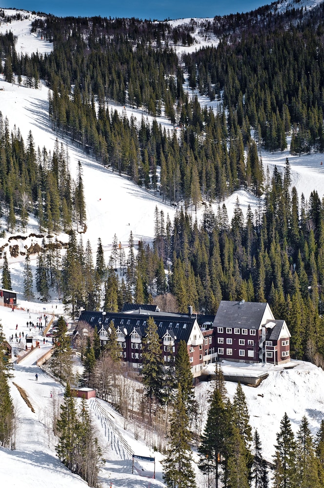 Hotell Fjällgården Ski In Ski Out 39/50