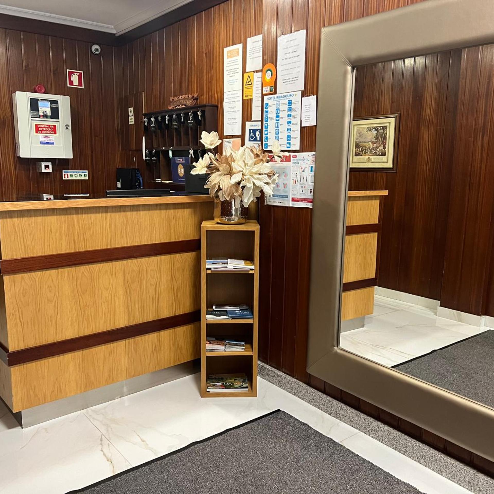Hotel Ribadouro 6/50