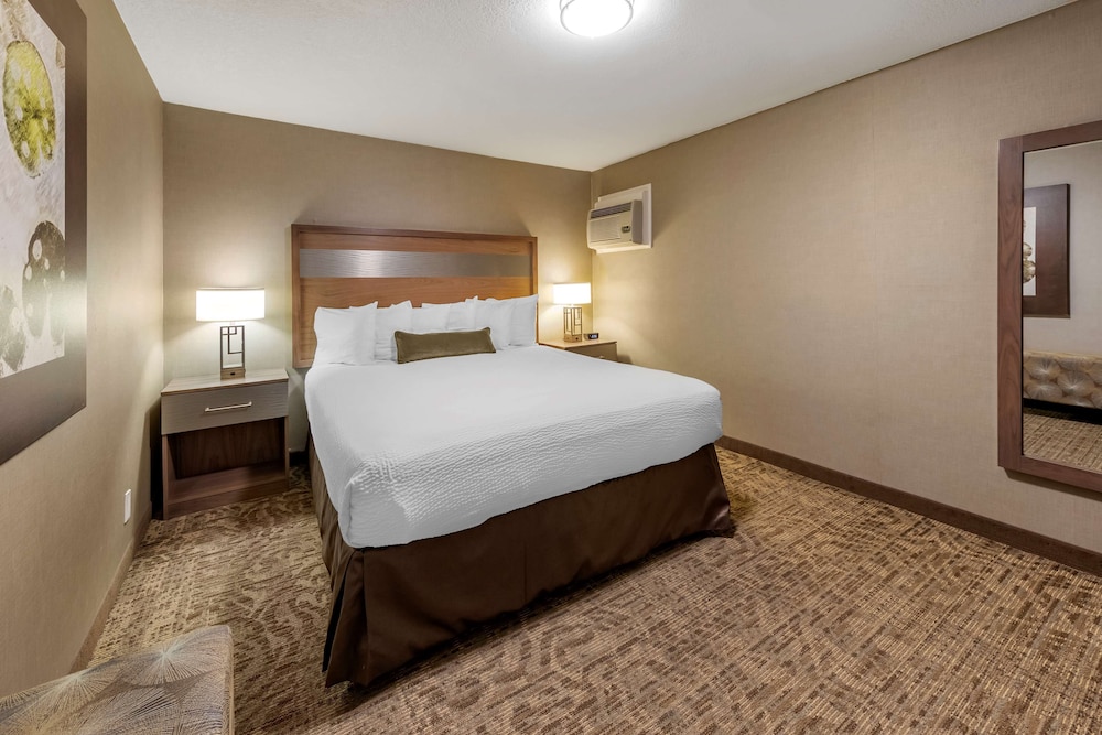Best Western Plus Anaheim Inn 28/59