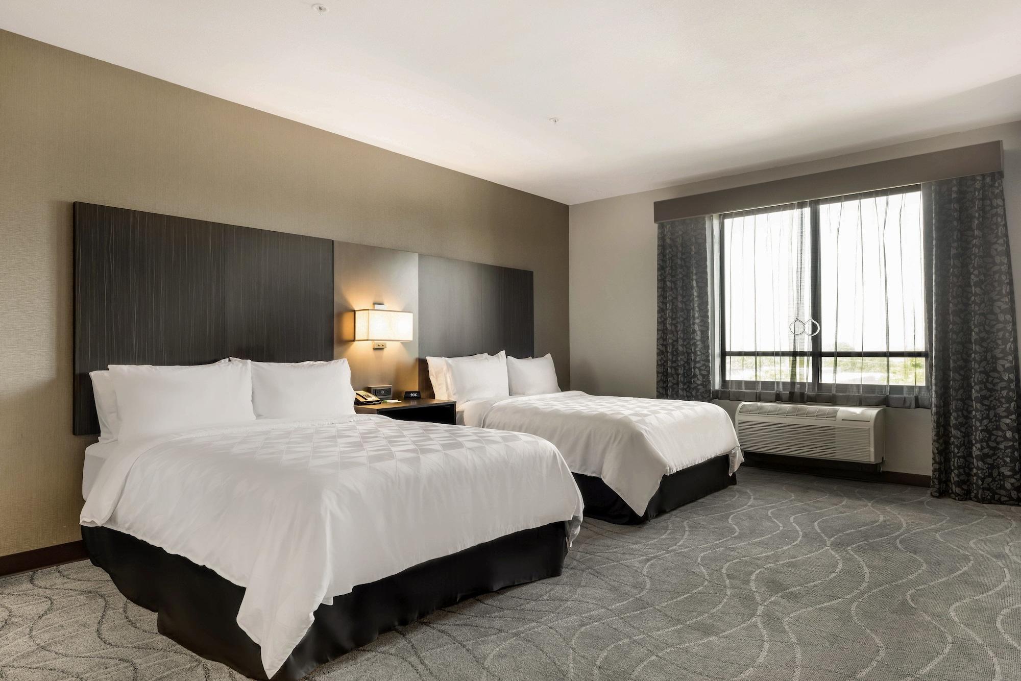 Suite, Multiple Beds