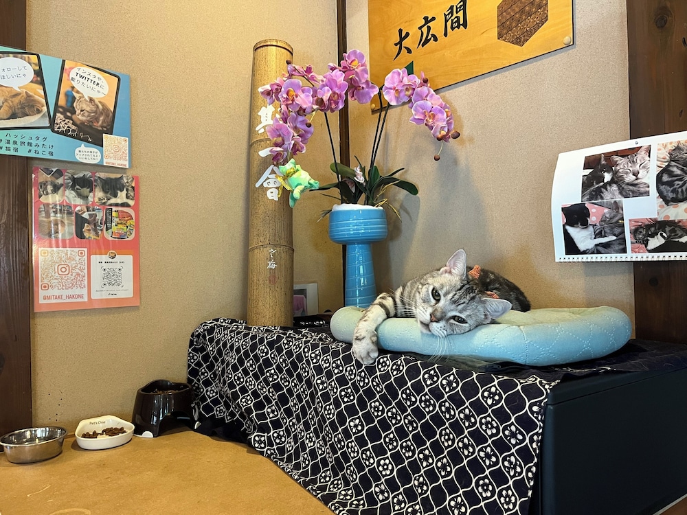 Onsen Ryokan Mitake 43/53