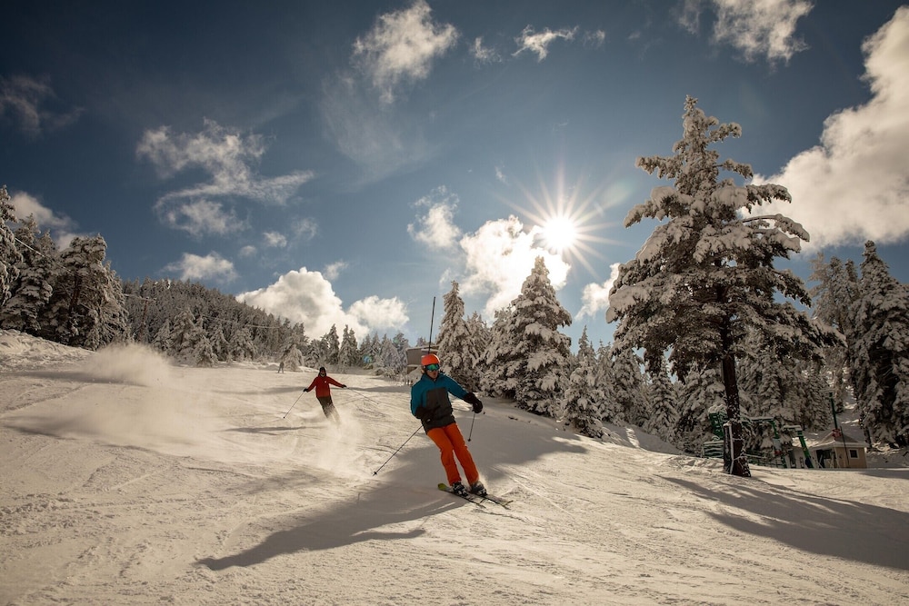 Dorukkaya Ski & Mountain Resort - All Inclusive 26/50