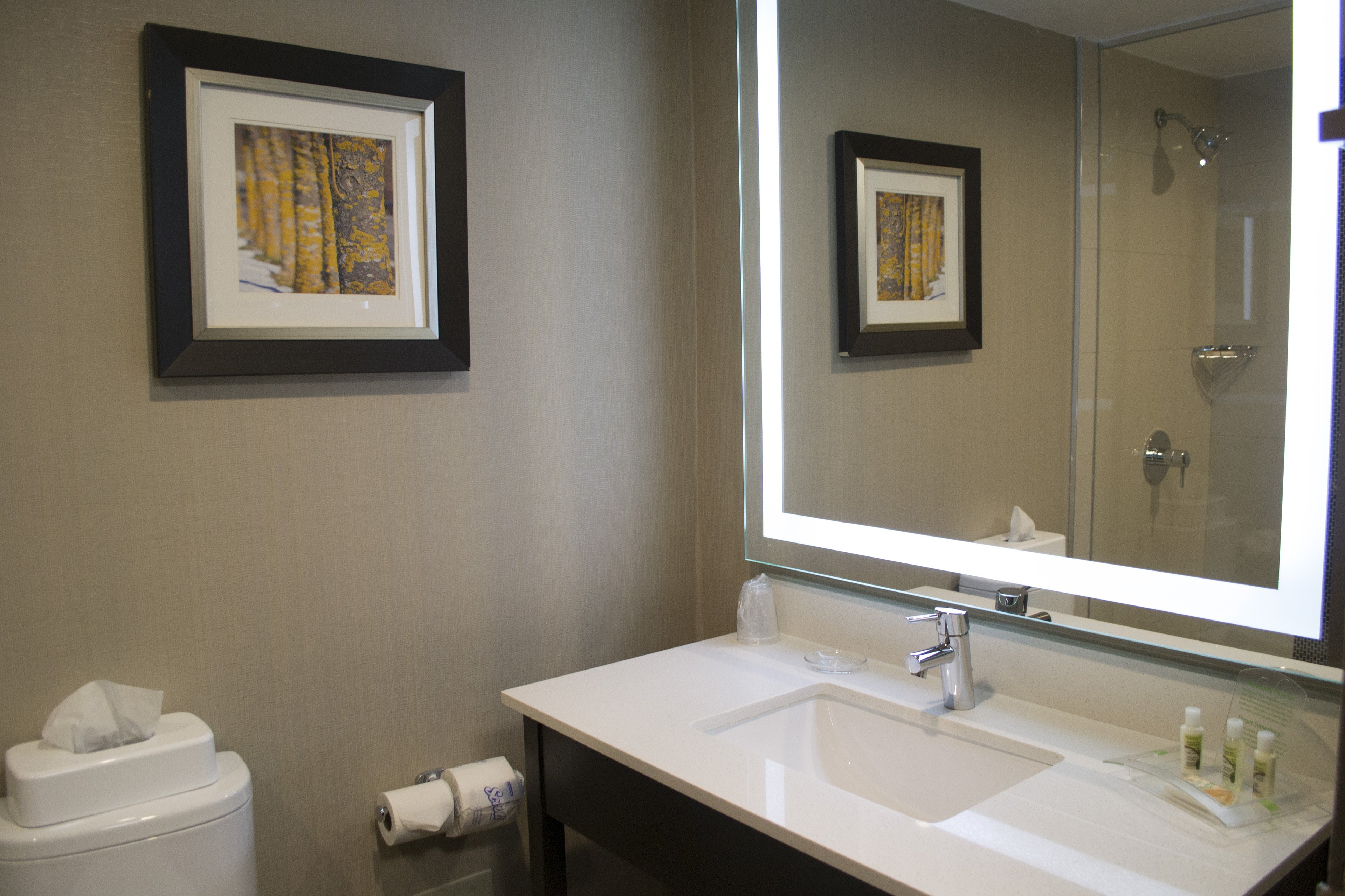HOLIDAY INN SUDBURY 57/58