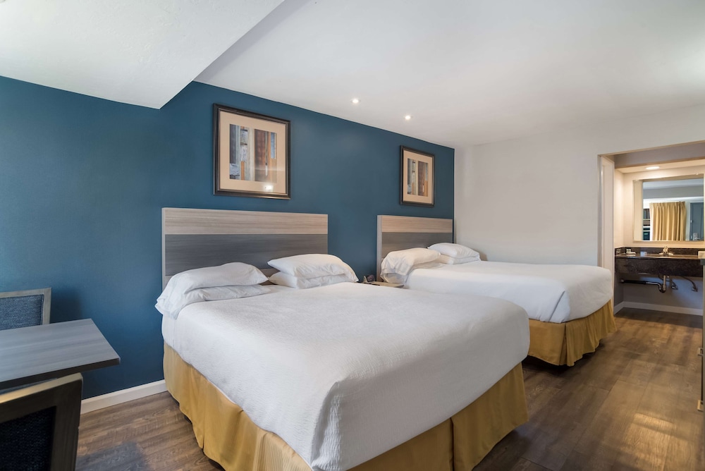 جناح بسريرين كوين، SureStay Hotel by Best Western San Rafael 5/10