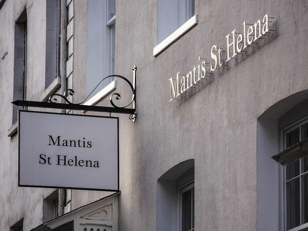 Mantis St Helena 1/48