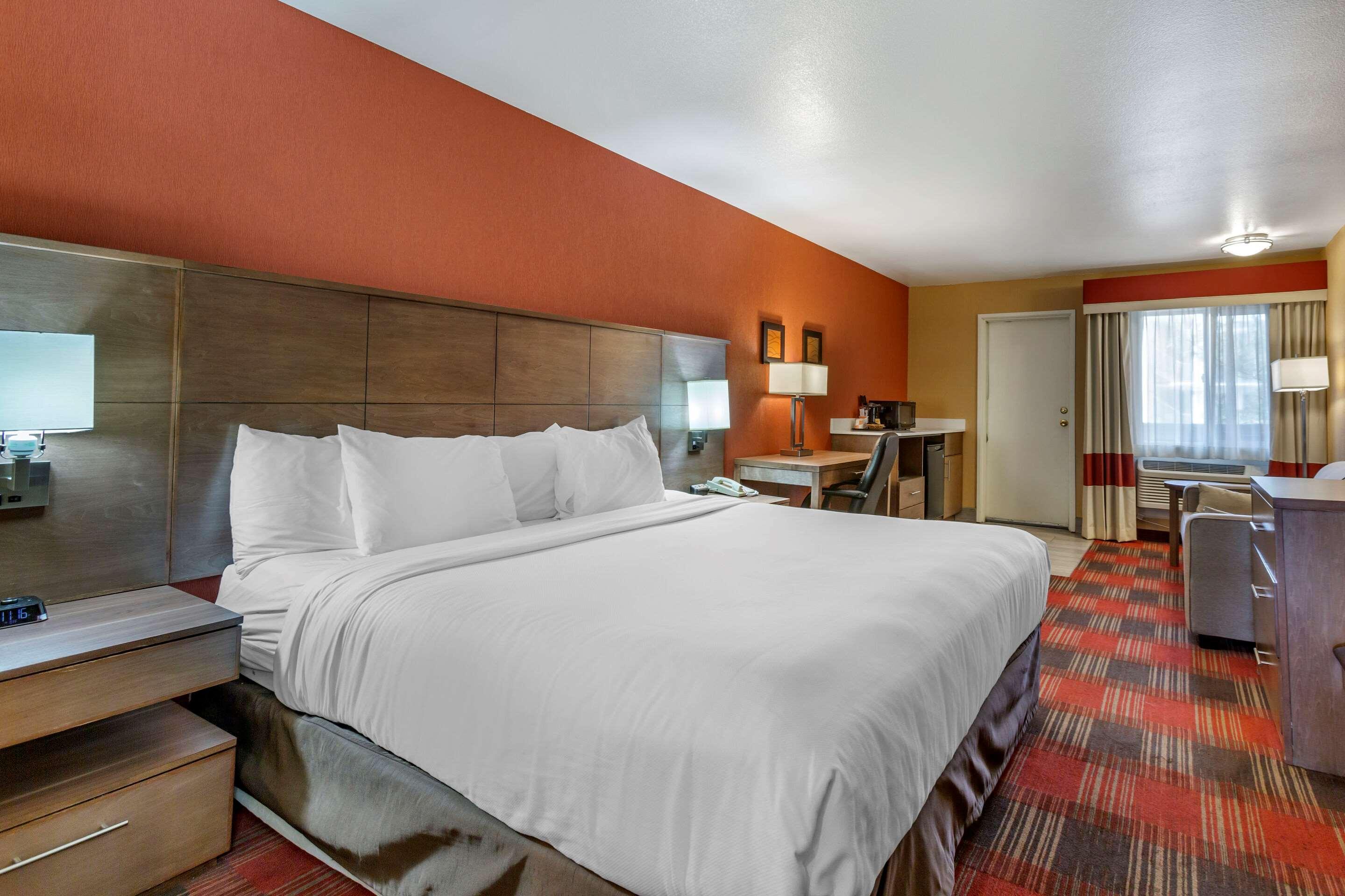 ROOM, KING BED