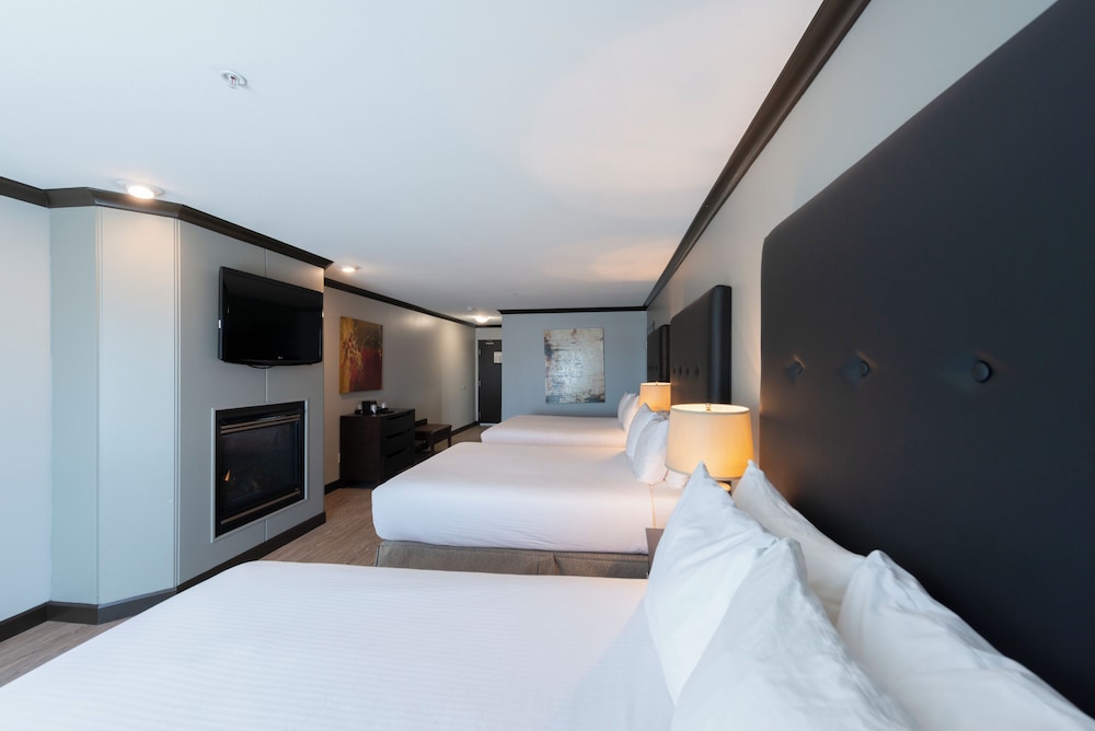 Premium, 3 Queen Beds