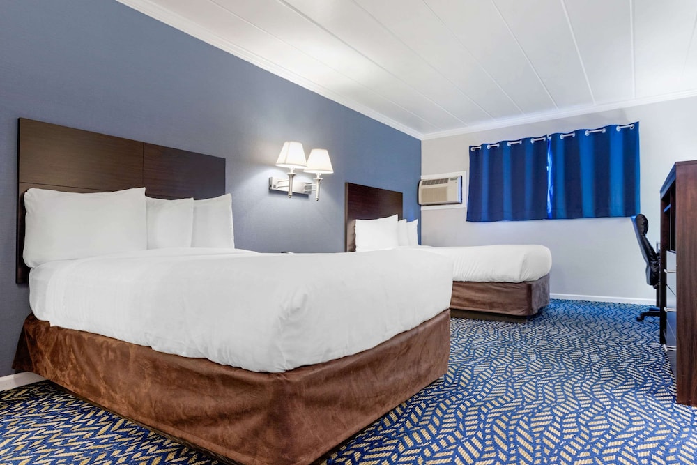 Standard, 2 Double Beds