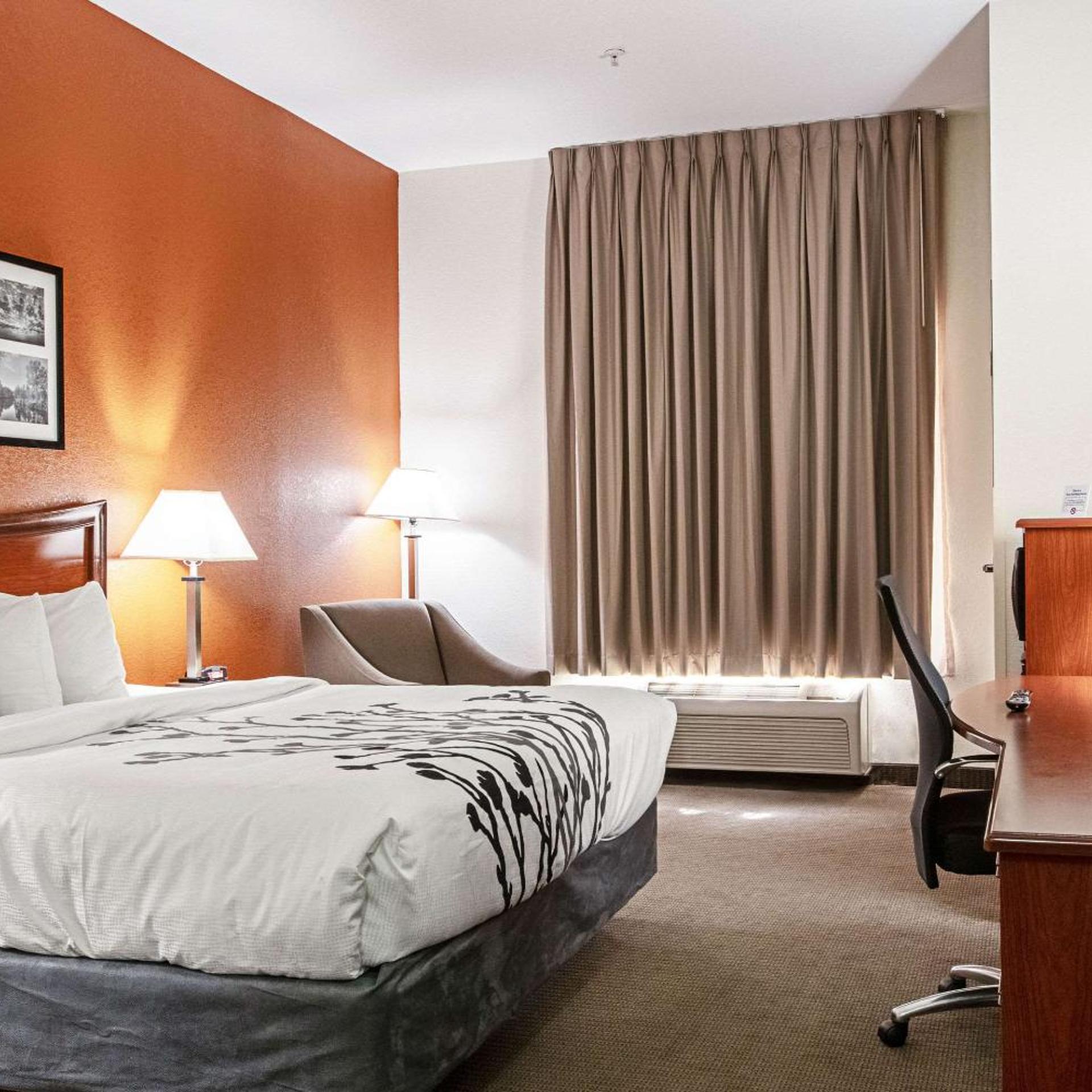 Suite, King Bed, Accessible