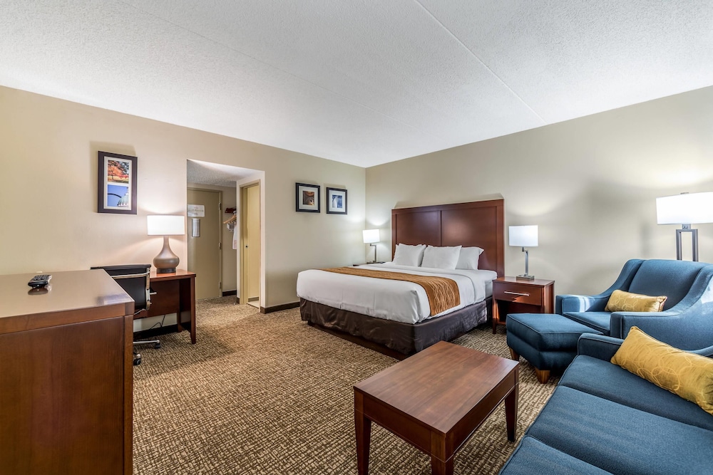 جناح بسرير كينج مع أريكة، Comfort Inn Festus-St. Louis South 6/8
