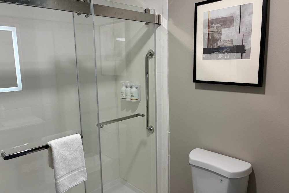 La Quinta Inn & Suites by Wyndham Bessemer 48/49
