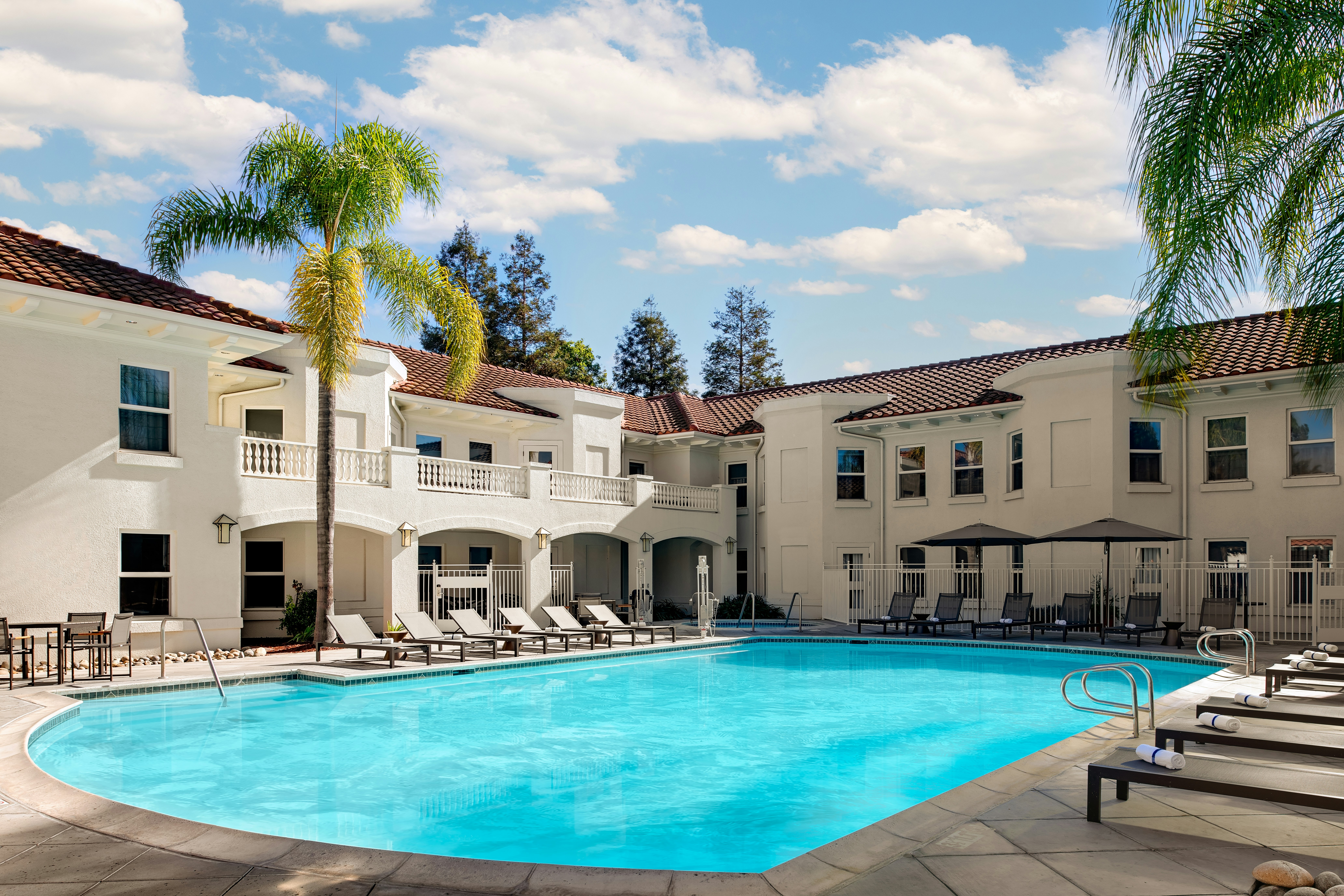 Hayes Mansion San Jose, Curio Collection by Hilton 41/41