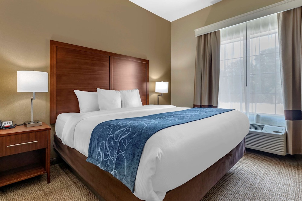 Room, King Bed, Accessible
