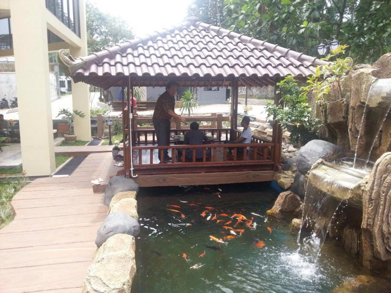 Hotel Gerbera 25/40