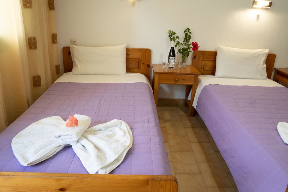 Dimitris Villa Hotel 33/67