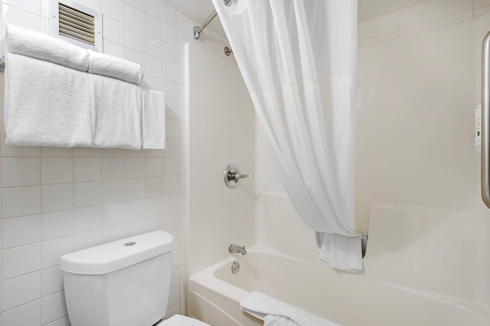 Room, King Bed, Quality Inn & Suites Conference Center 7/7
