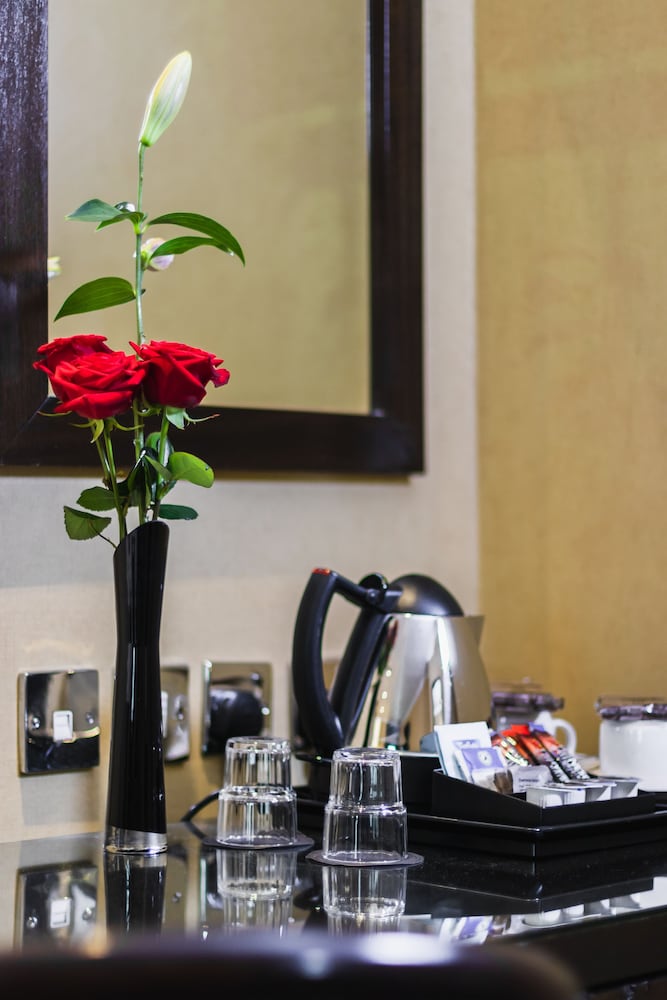公园大伦敦Hyde公园酒店(Park Grand London Hyde Park) 图片5