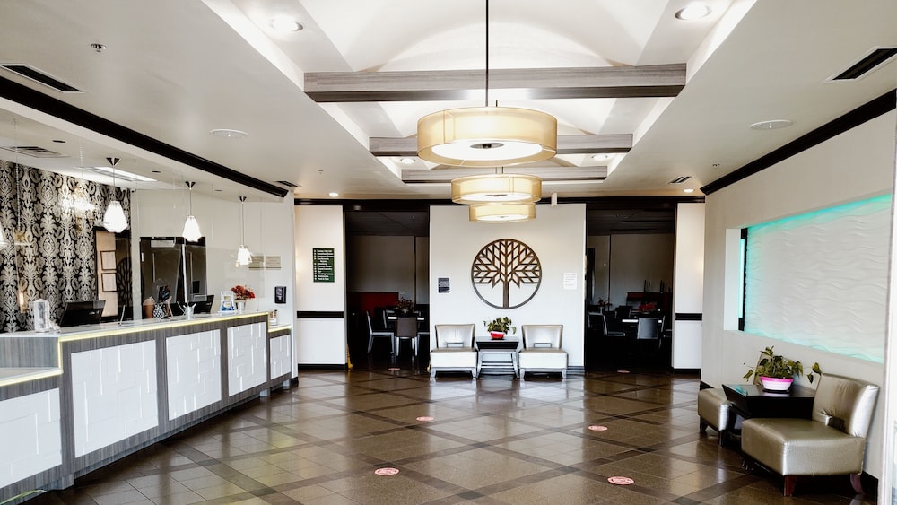 Hawthorn Suites by Wyndham Lubbock 12/92