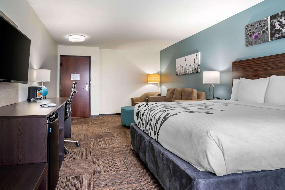 Sleep Inn & Suites Houston Westchase - Little Saigon 13/29