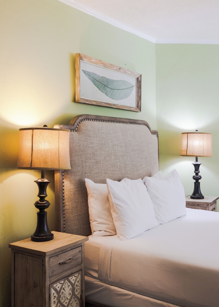 Princess Anne Hotel 26/50