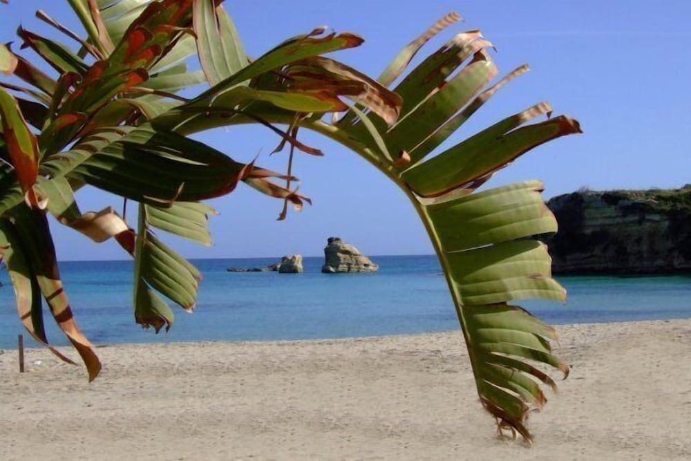 Sunset Bed And Breakfast Villa 52/56