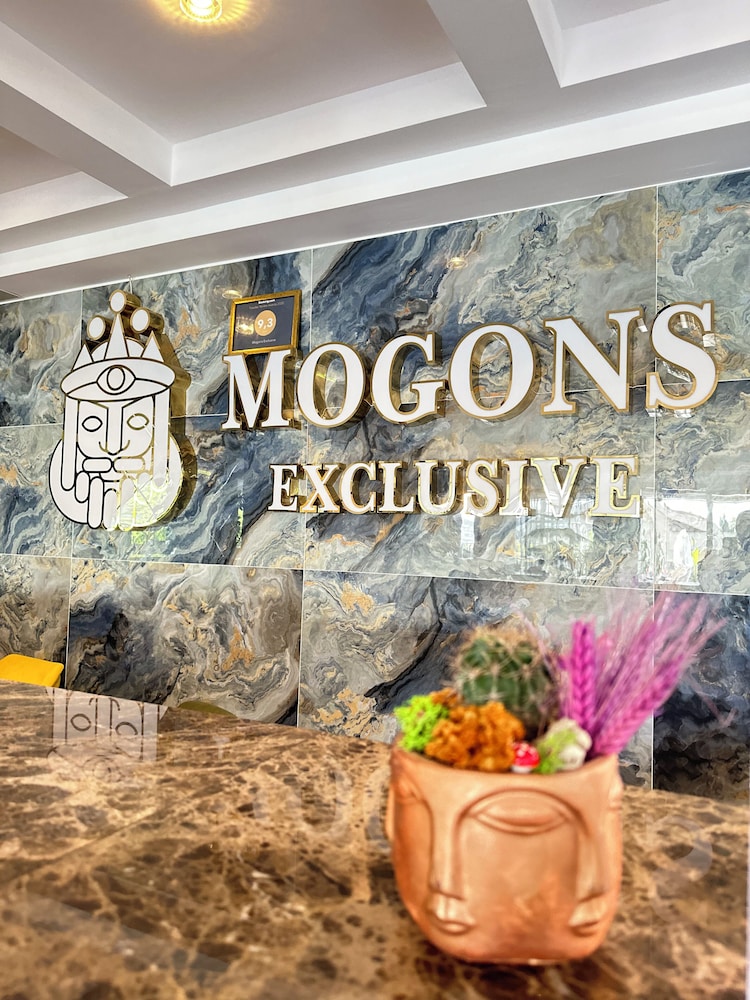 Mogons Exclusive 20/50