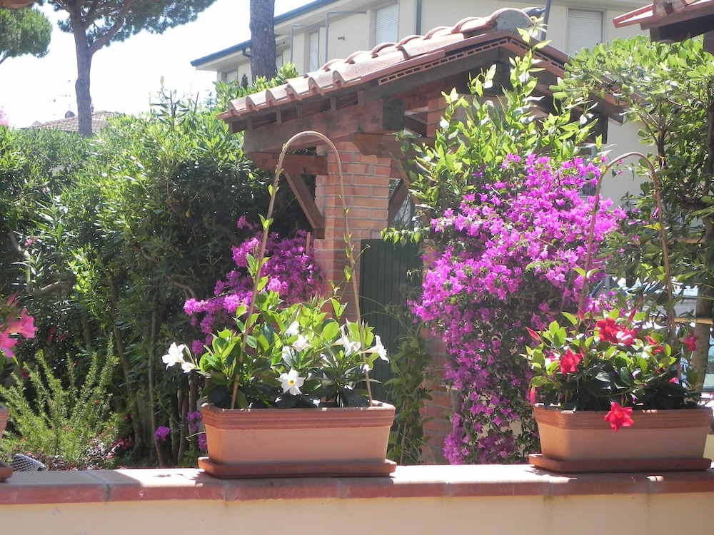 Villa Il Fortino 3/39