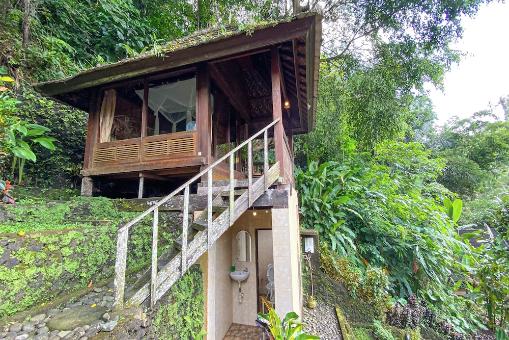 Bali Jungle Huts 5/50