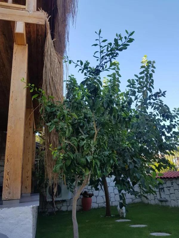 Alacati Villa Sunset Boutique Hotel 46/50