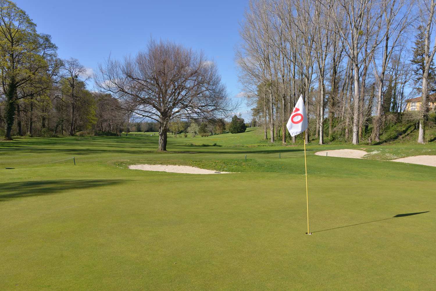 Golf D albon 10/23
