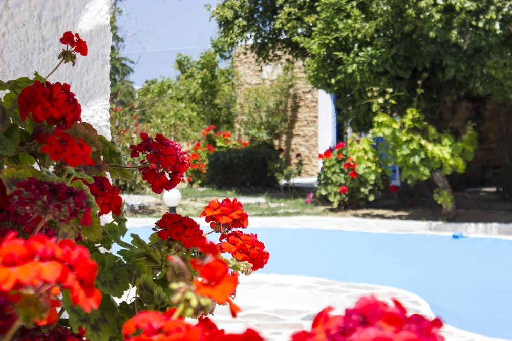 Naxos Holidays 55/64