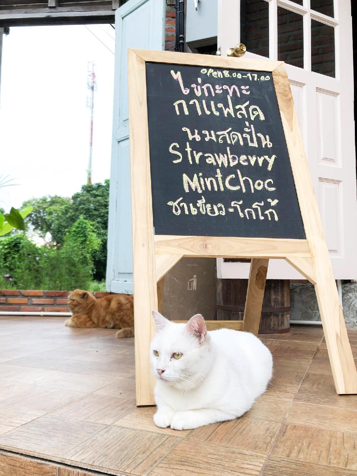 Baan Esan Country House 18/28