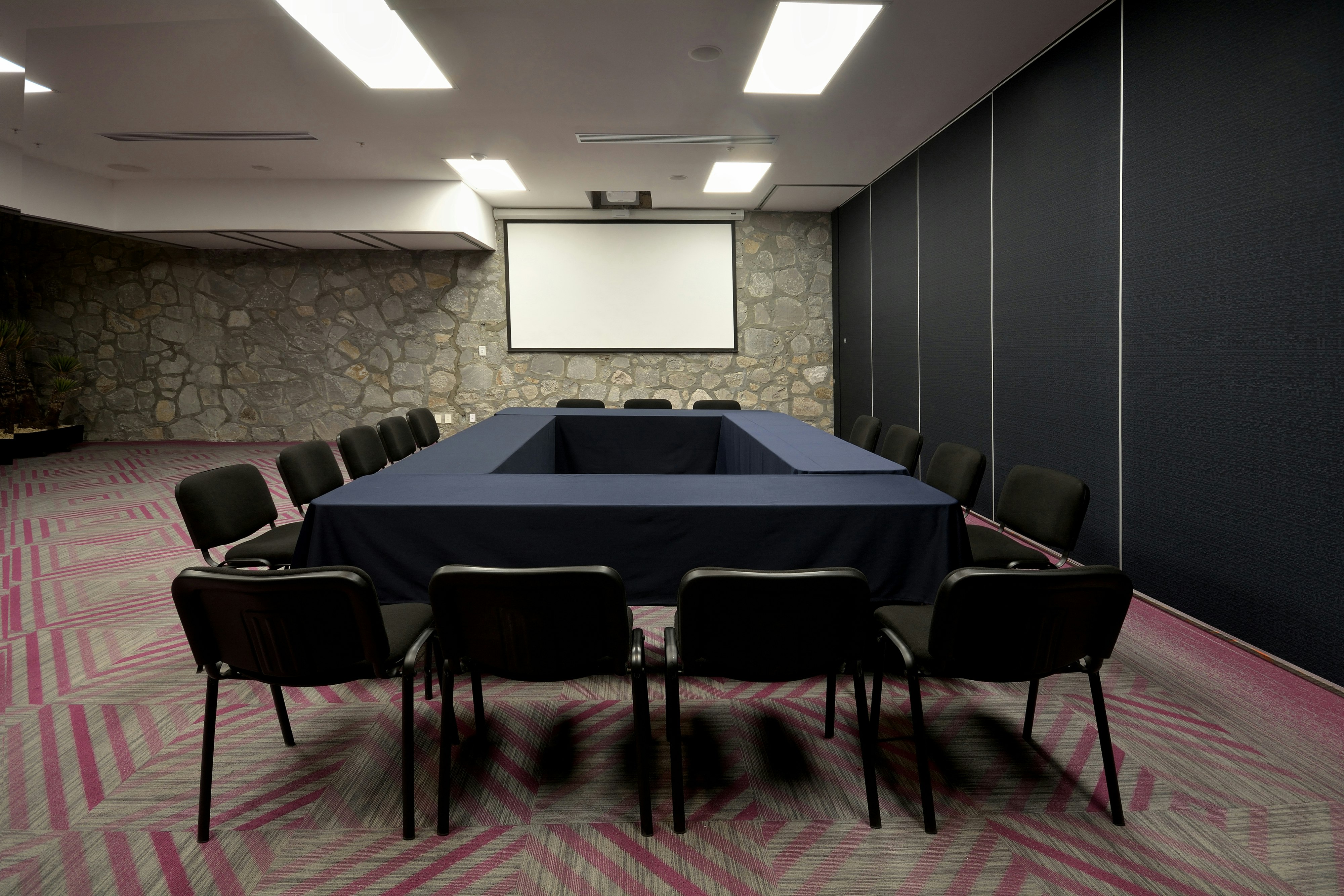 Holiday Inn Express Pachuca 51/57
