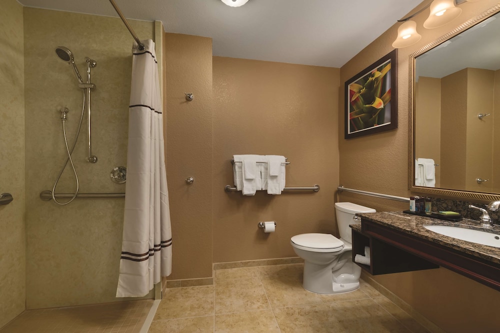 Embassy Suites By Hilton Orlando Lake Buena Vista South 22/82