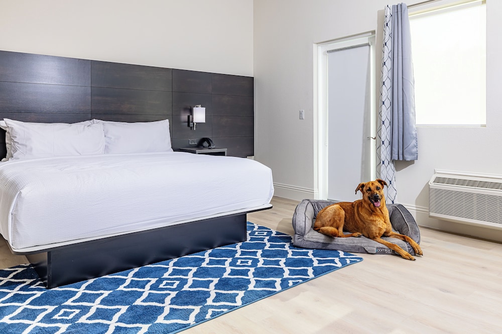 Grant Street Inn, an Ascend Collection Hotel 15/50