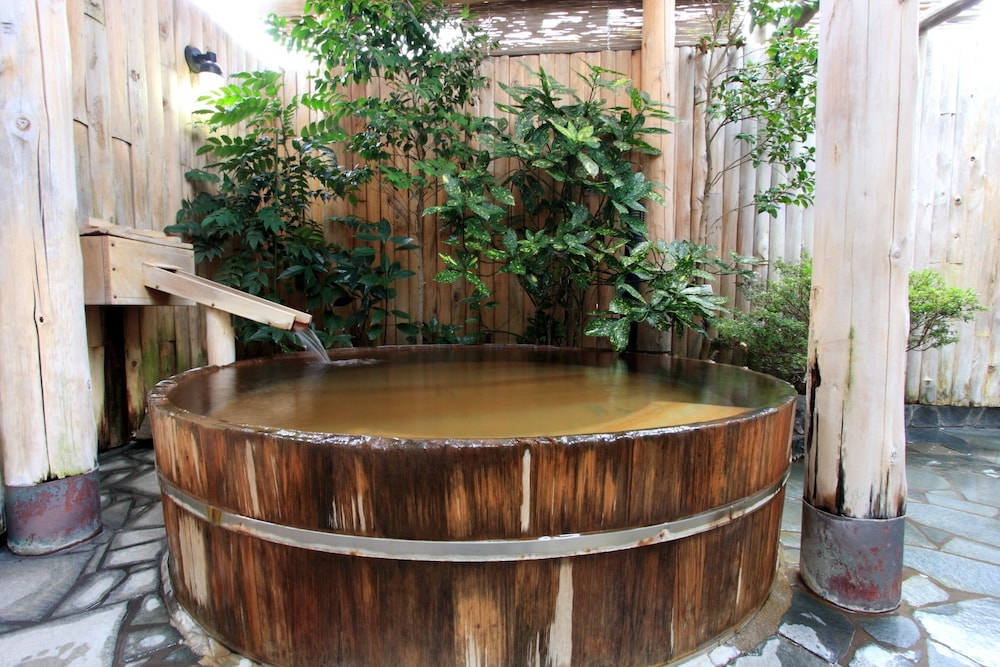Yanaginoyu Hotel 8/50