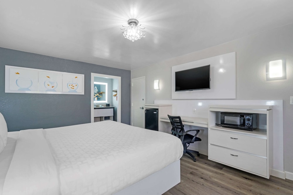 Quality Inn and Conference Center Tampa-Brandon 23/42